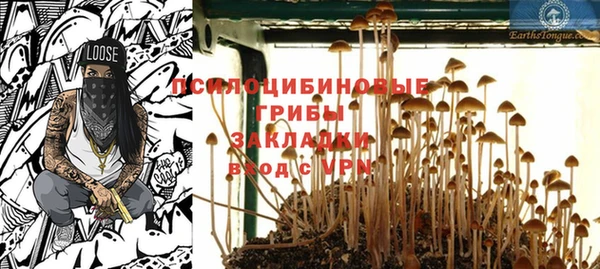 шишки Шарыпово