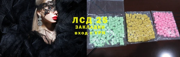 крисы Шали