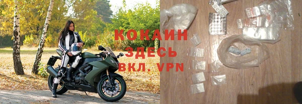 крисы Шали