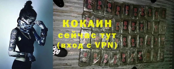 крисы Шали