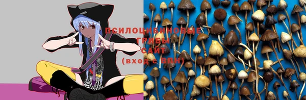 mix Шадринск